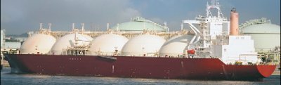 Milaha to buy Qatar Petroleum stake in Al Shaheen - Read Qatar Tribune ...