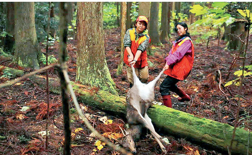 Japan S Female Hunters Take Aim At Wild Boar Stereotypes Read Qatar Tribune On The Go For