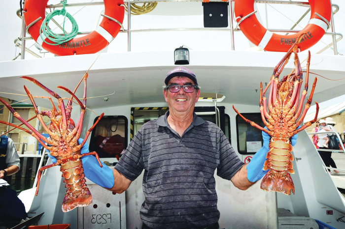 Australian Lobster Sector Claws Back Trade After China Ban - Read Qatar ...