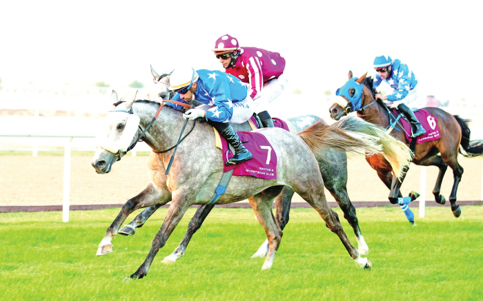 Sheikh Mohammeds Essa Lands Athbah Cup At Al Uqda Read Qatar Tribune