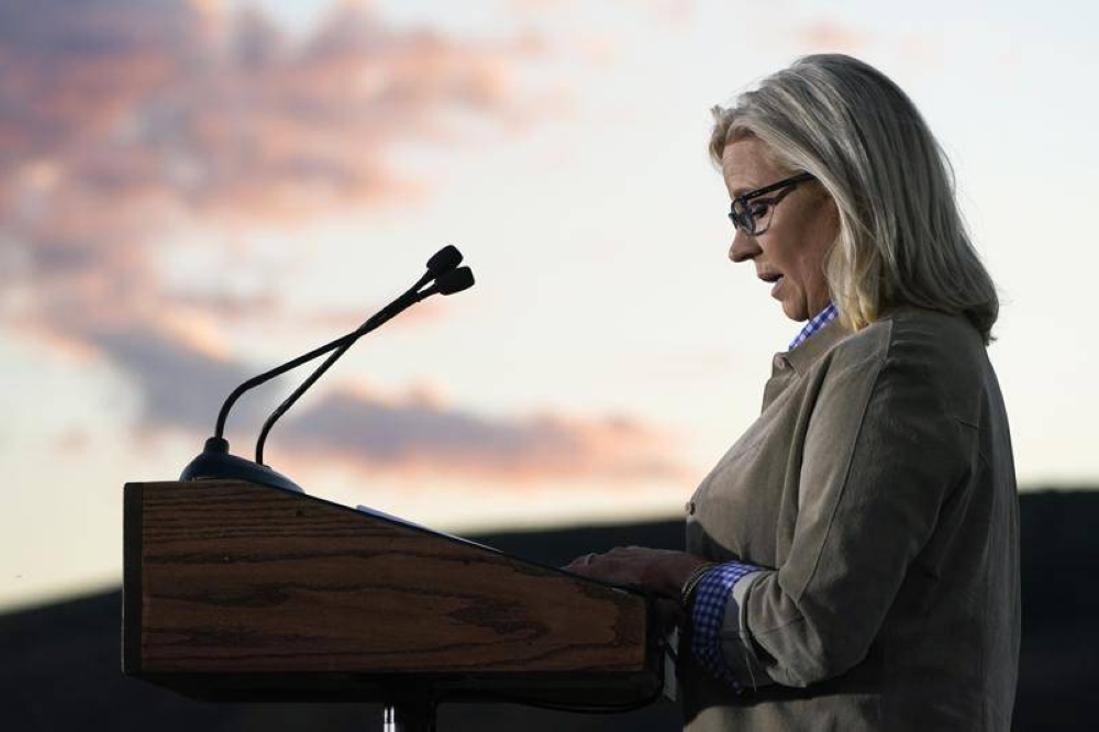 Liz Cheney in 2024? Deep scepticism emerges in key states Read Qatar