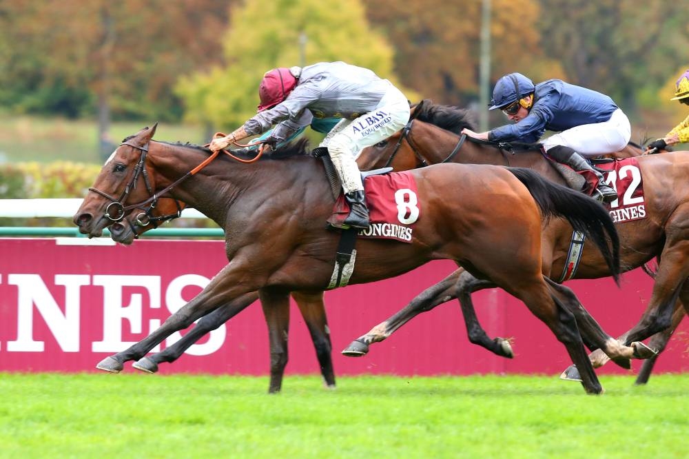 Massive Qatari success as Qatar Prix de l Arc de Triomphe