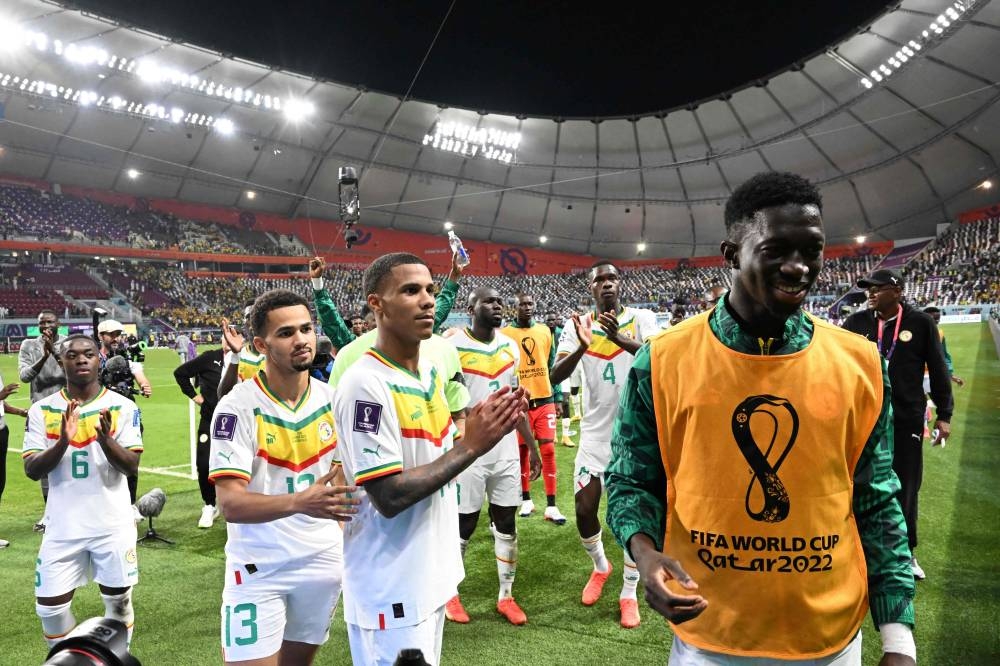 FIFA World Cup Qatar 2022 Team Facts: Will an African team win it? By  MSport